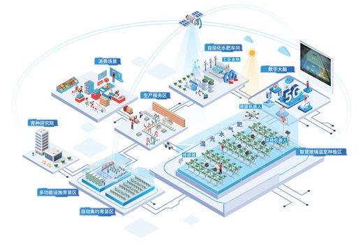 植物工厂有了智慧大脑 大数据赋能设施农业新变革